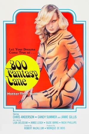 800 Fantasy Lane streaming