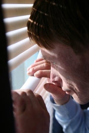 Sunny Boy streaming