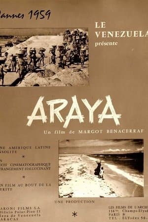 Araya streaming