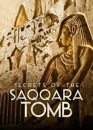 Secrets of the Saqqara Tomb streaming